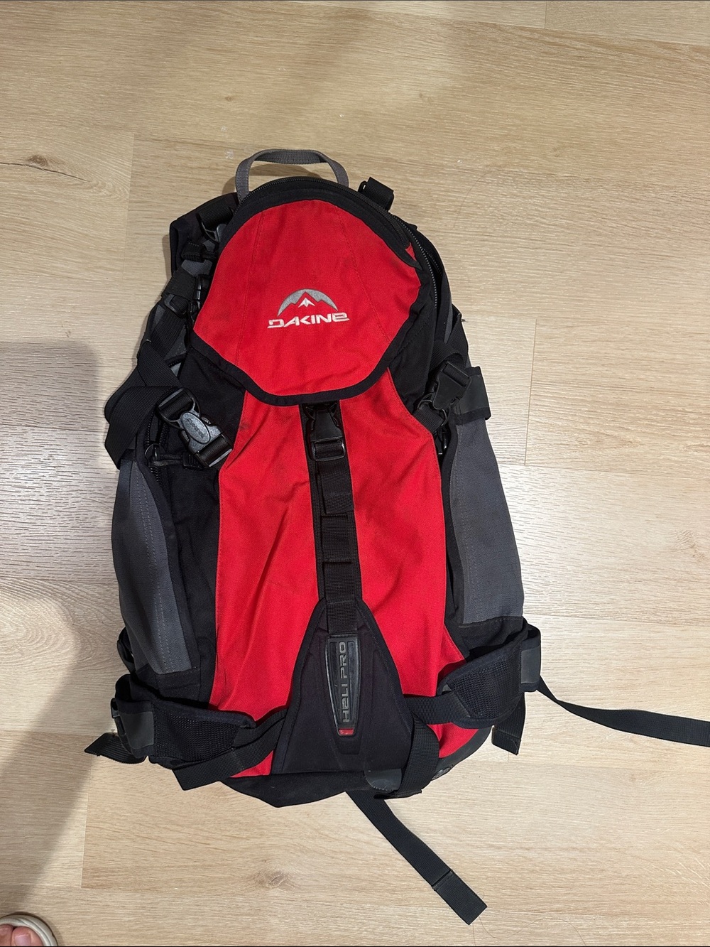 Dakine Red, Black and Gray Men's Outdoor Backpack